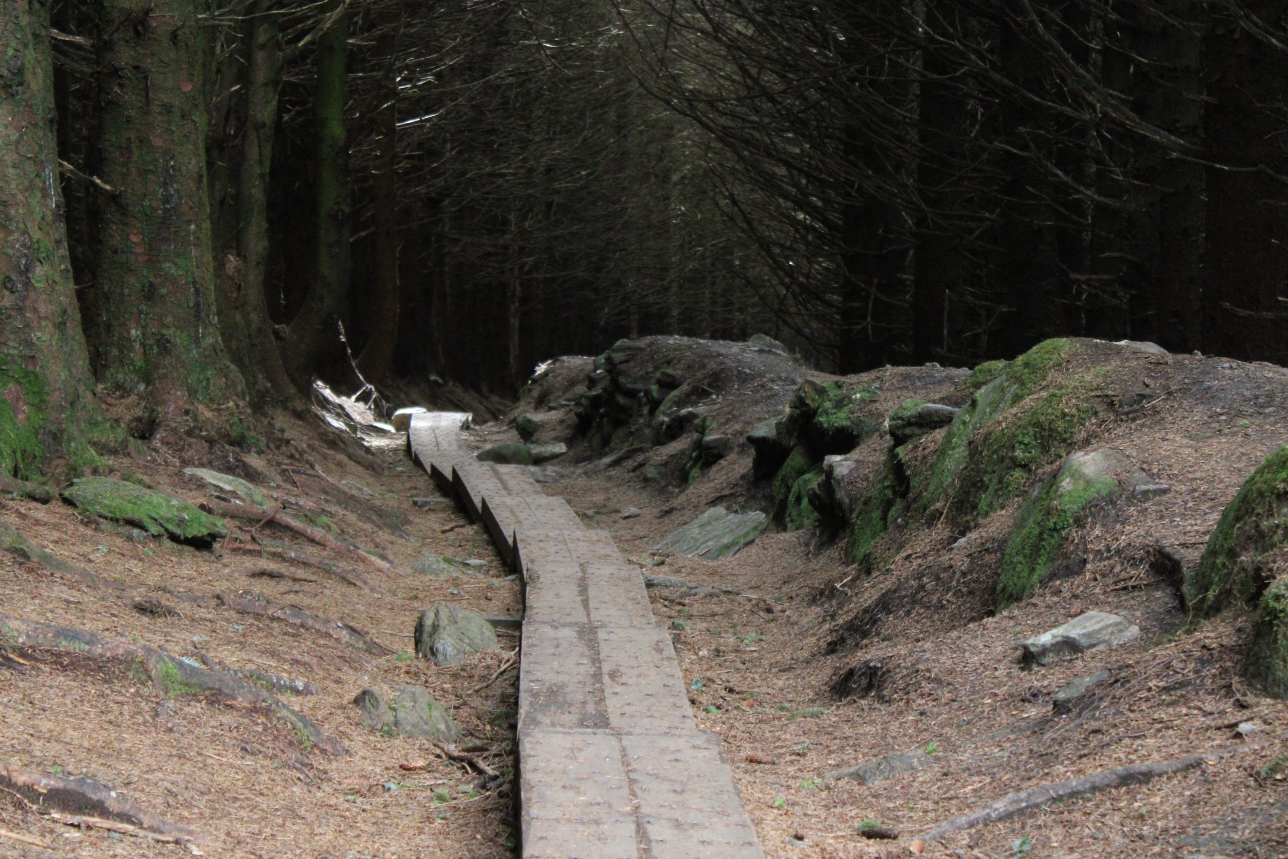 “It’s a dangerous business, Frodo…..