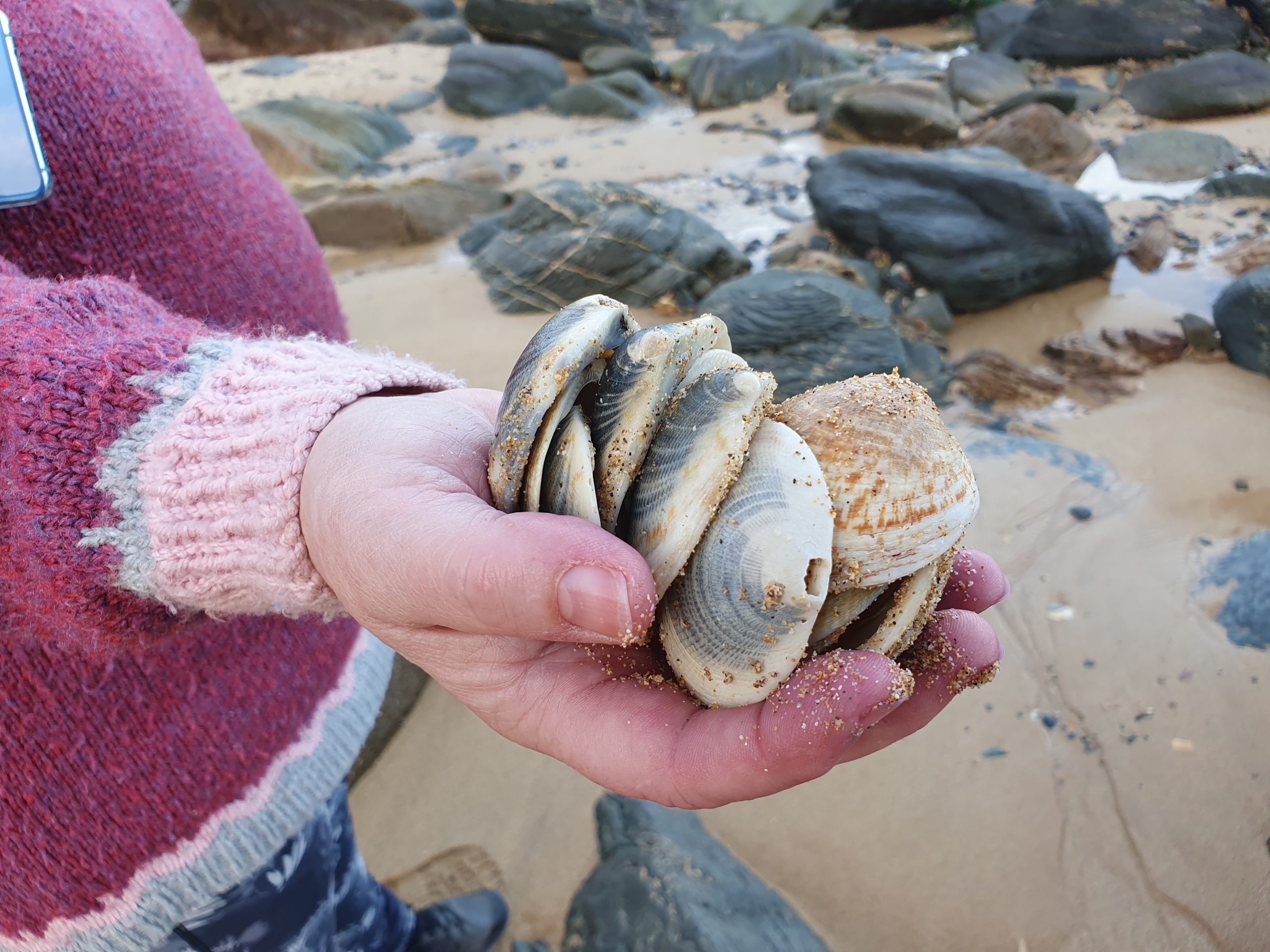 Money, money, money……..